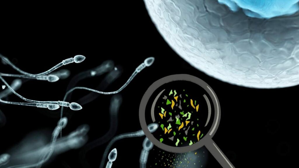 Microplastics in Human Reproductive Fluids: A 2025 Wake‑Up Call for Fertility