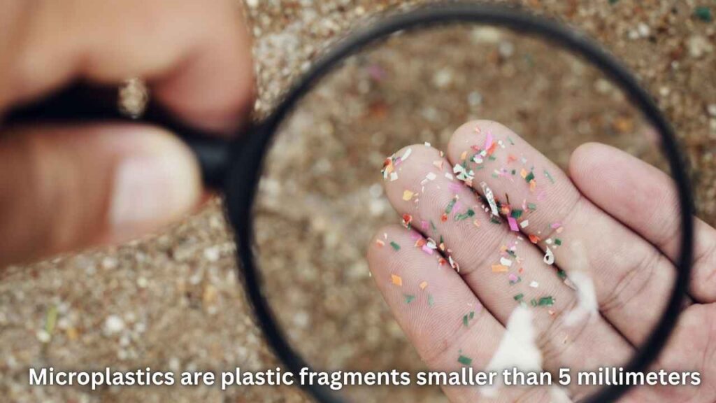 Microplastics in Human Reproductive Fluids (2)
