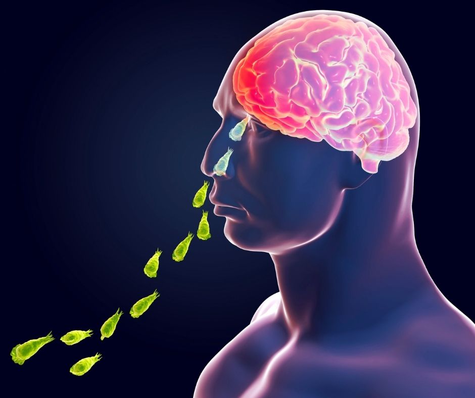 Brain-Eating Amoeba in Kerala