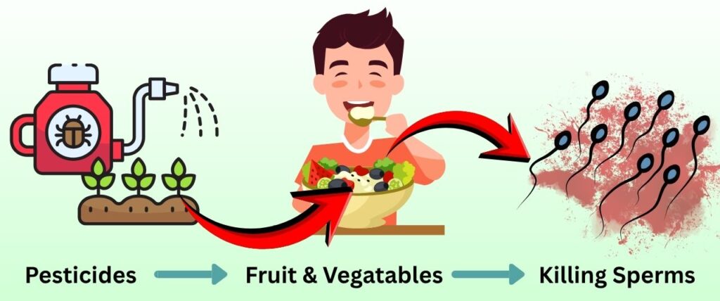 How Pesticides in Food Are causing Male Infertility